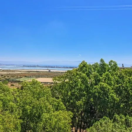 Flamingo Tra Il Parco E Il Mare 2