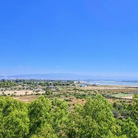 Flamingo Tra Il Parco E Il Mare 2